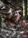 Тактична куртка RISEN-STIFF multicam розмір 46 01605-46 фото 2