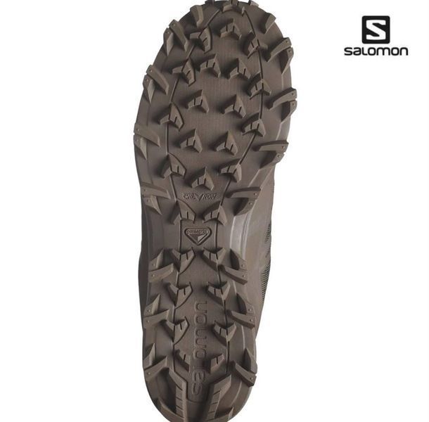 Кросівки Salomon Speed Assault 2 GTX Earth Brown размер 41 03190-41 фото