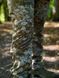 Костюм пиксель софтшелл Military размер S 00626-S фото 6